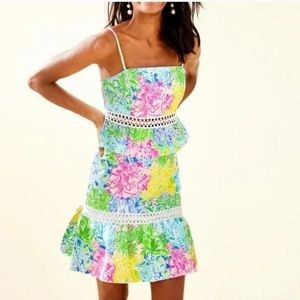 Lilly Pulitzer Cheek To Cheek Jan Crop Top Skirt 2 Piece Set size 4
